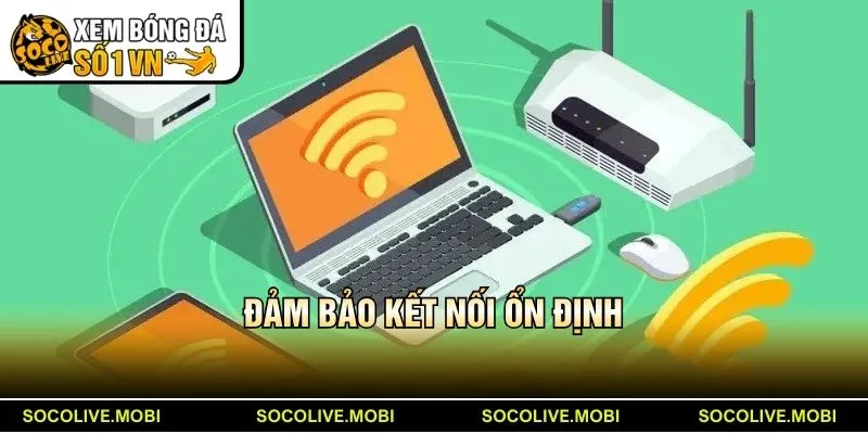 Đảm bảo kết nối ổn định để xem thông tin mượt mà nhất