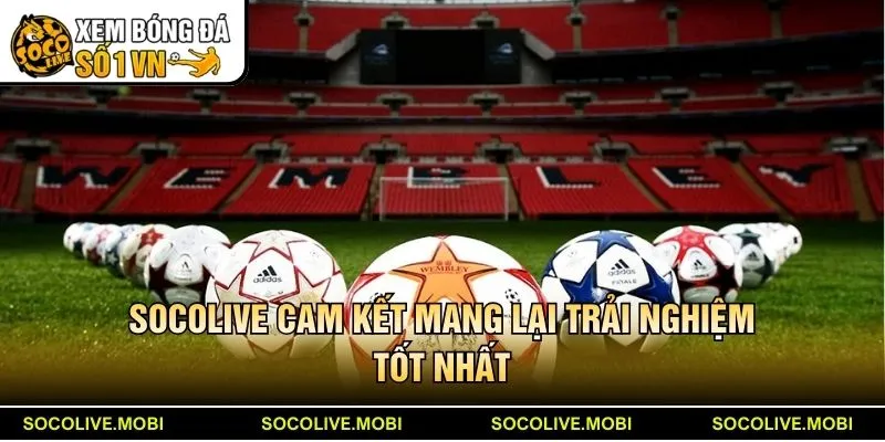 Socolive cam kết mang lại trải nghiệm tốt nhất